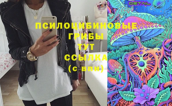 МДПВ Алексин