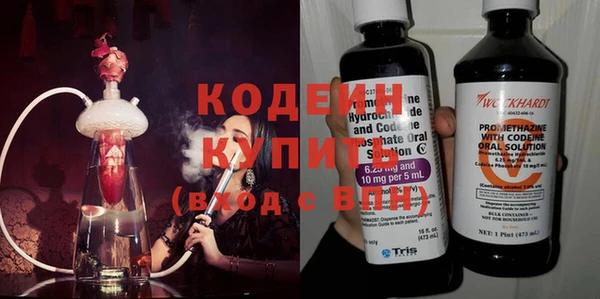 хмурый Алзамай