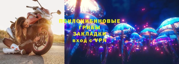 хмурый Алзамай