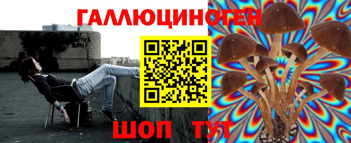 Псилоцибиновые грибы прущие грибы Севастополь