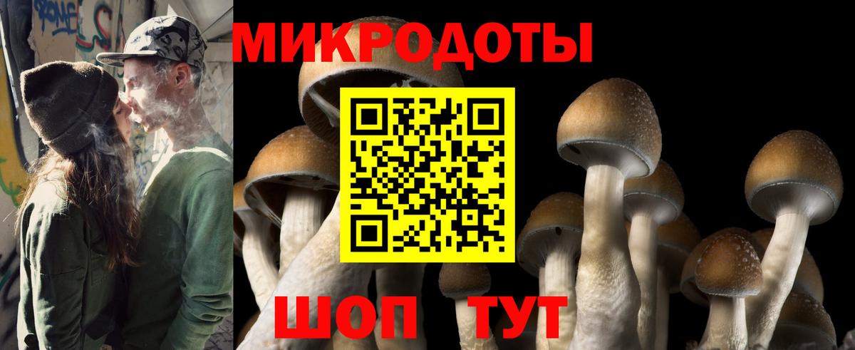 Севастополь  Псилоцибиновые грибы ЛСД  Вход с VPN 